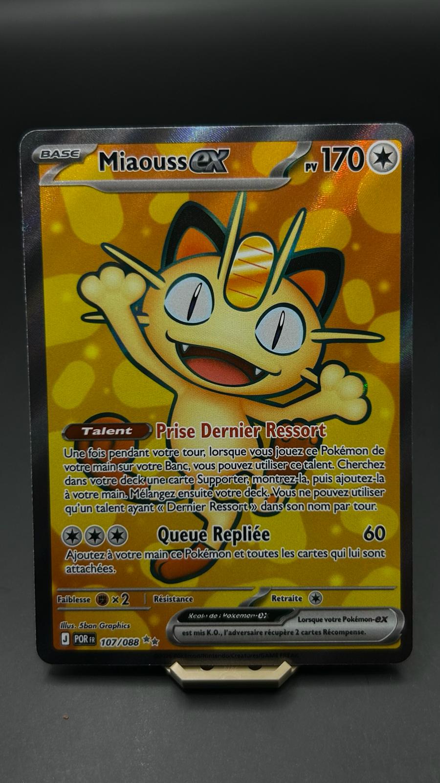 MIAOUSS EX ULTRA RARE 107/088