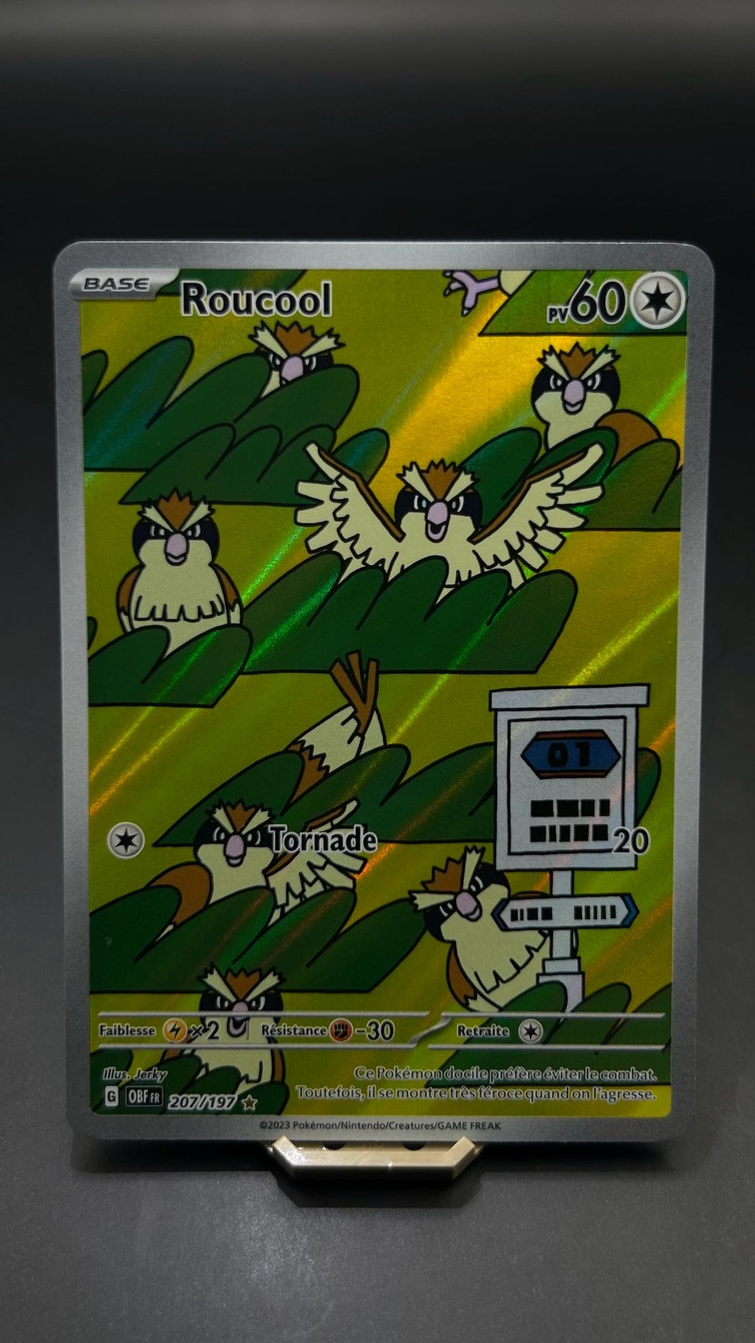 ROUCOOL 207/197