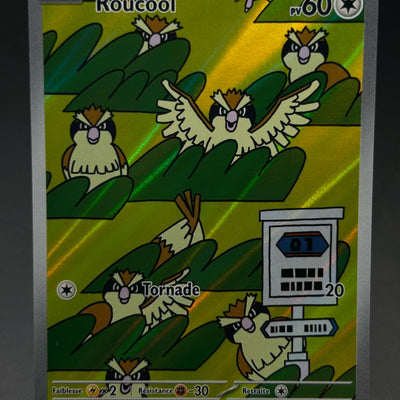 ROUCOOL 207/197